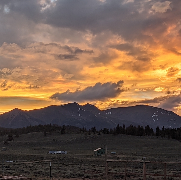 Meet your Posher, WildMtnHun - Picture 2 of 5